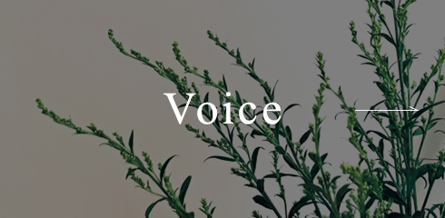 Voice